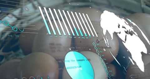 Egg Production Analytics with Global Perspective and Data Visualization