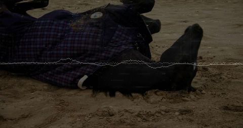 Person Relaxing on Sandy Beach in Dark Plaid Coat
