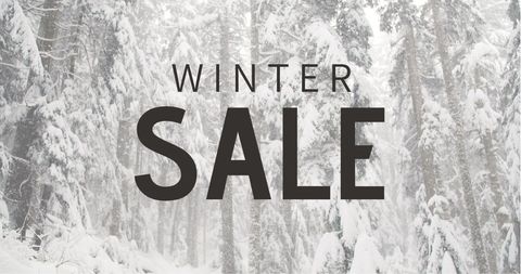 Winter sale text in snowy forest scenery