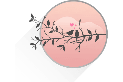 romantic birds silhouette on pink circle transparent design - Download Free Stock Videos Pikwizard.com