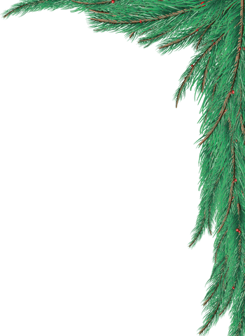 transparent christmas tree branch with red berries corner design - Download Free Stock Videos Pikwizard.com
