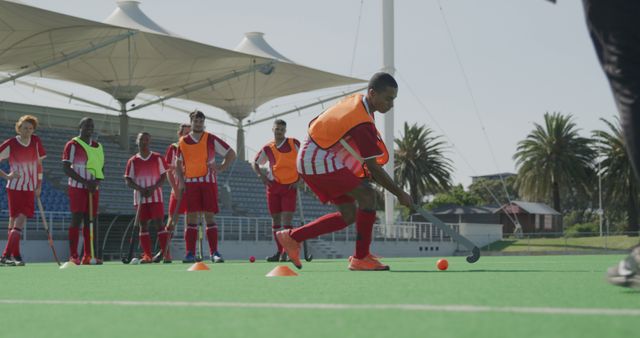 Field Hockey Team Practicing Drills at Stadium - Download Free Stock Images Pikwizard.com