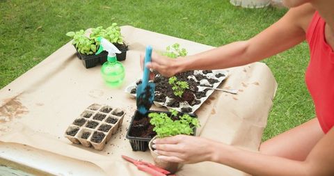 Female gardener repotting seedlings in outdoor sanctuary