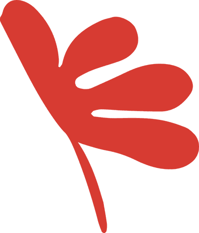 minimalist red leaf on transparent background - Download Free Stock Videos Pikwizard.com