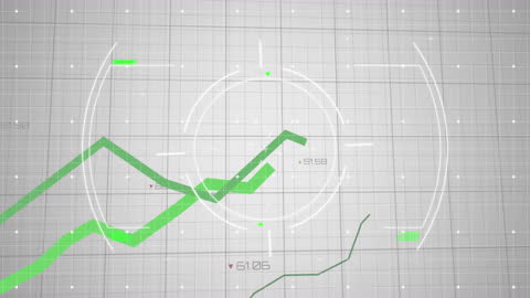 Dynamic Financial Data Processing with Digital Interface