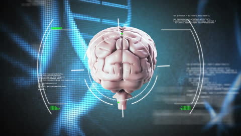 Digital Analysis of Brain and DNA with Futuristic Interface