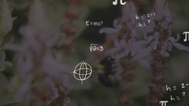 This animation features a blend of mathematical formulas overlaying an image of bees pollinating flowers, symbolizing the harmony between science and nature. Useful for illustrating concepts in ecological conservation, science education, discussions on biodiversity, and global green initiatives.