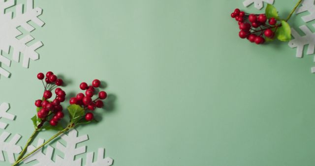 Image of christmas leaf and red berry decorations with snowflake patterns and copy space on green. christmas, tradition and celebration concept.