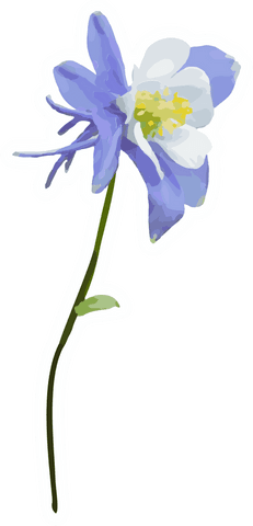 Transparent Flower Illustration with Lilac Petals and Yellow Stamens