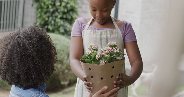 Child Giving Potted Flower as Gift - Download Free Stock Images Pikwizard.com