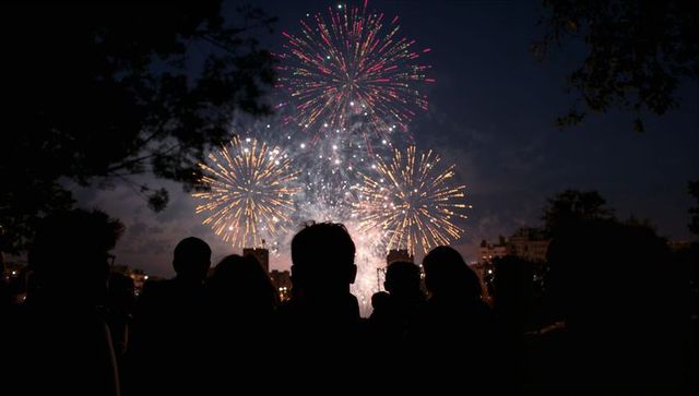 Silhouetted crowd watching fireworks over waterfront night skyline celebration