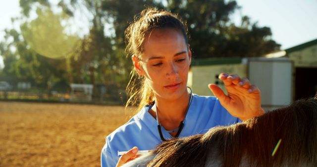 Female veterinarian in a blue scrub top examining a horse outdoors under sunlight. Scene suggests a rural farm environment and the vet's dedication to equine health. Can be used for topics related to veterinary services, animal health, equine care, and professional roles in animal care.