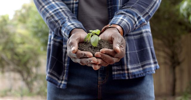 Midsection of mature african american man holding soil with seedling plant in garden. Nature, gardening, hobbies, ecology, growth, domestic life and lifestyle.