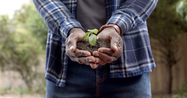 Hands Holding Soil with Seedling Outdoors - Download Free Stock Images Pikwizard.com