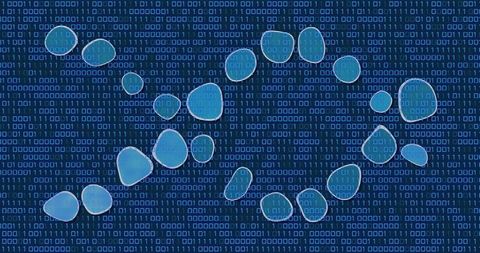 Medical Data Processing with Digital Interface Concept