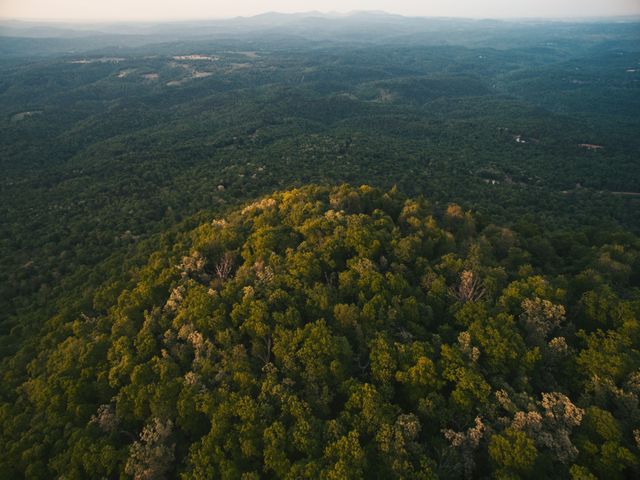 Aerial view of dense, green forests covering hills, with the sun setting in the horizon and creating a warm atmosphere. This image is ideal for nature journals, travel blogs, environmental websites, and outdoor adventure promotions due to its serene and picturesque quality.