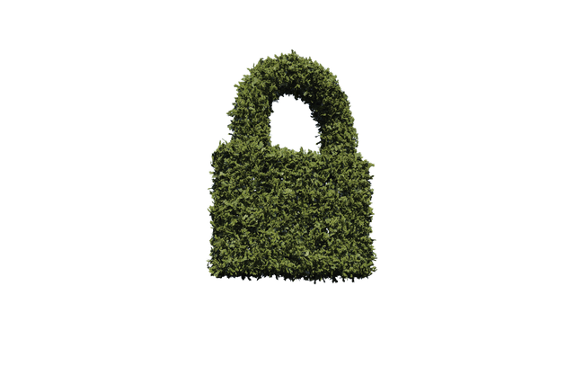 Green Secure Grass Padlock Illustration on Transparent Background - Download Free Stock Videos Pikwizard.com