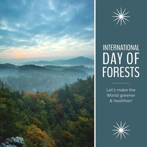Misty Forest Landscape Celebrating International Day of Forests - Download Free Stock Templates Pikwizard.com