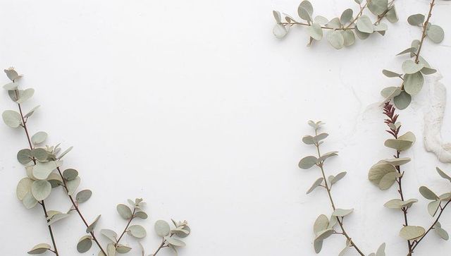 Eucalyptus stems framing pale marble background with lace accent, minimal botanical design