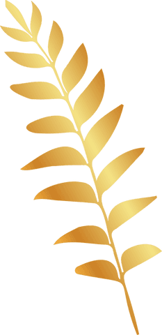Golden botanical branch ornament on transparent background