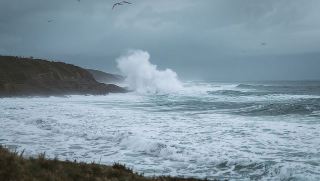 Stormy Ocean Waves Crashing Against Rocky Shoreline with Seabirds Gliding