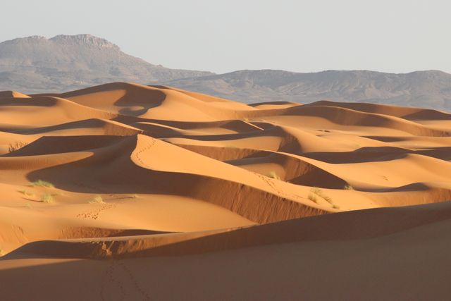 Stunning Sand Dunes in Golden Desert Landscape - Download Free Stock Photos Pikwizard.com