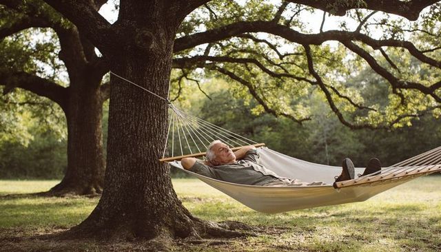 Relaxing senior man reclining in hammock under oak trees for peaceful retirement lifestyle