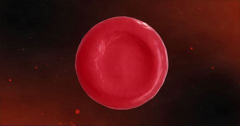 Close-Up of Red Blood Cell on Dark Background - Download Free Stock Images Pikwizard.com