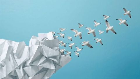White Seagulls Flying Over Low-Poly Rock Formation in Minimal Background