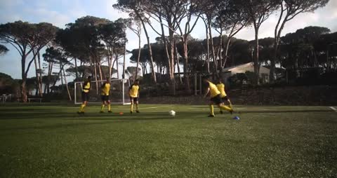 Youth Soccer Players Practicing on Lush Training Field
