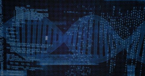 DNA Strand with Binary Code, Scientific Data Processing Visualization - Download Free Stock Images Pikwizard.com