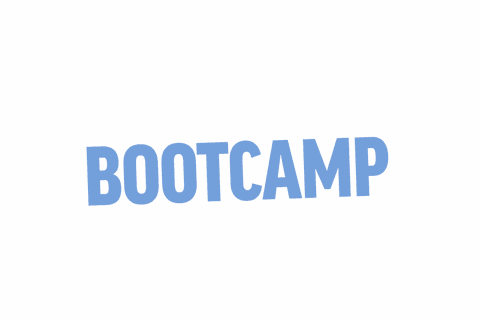 Bootcamp Text Illustration on Transparent Background - Download Free Stock Videos Pikwizard.com