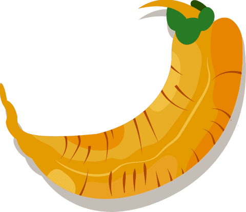 vector illustration of yellow carrot on transparent background - Download Free Stock Videos Pikwizard.com