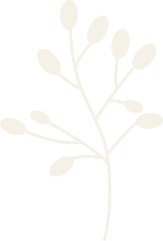 Minimalist botanical illustration with stylized branch and oval buds