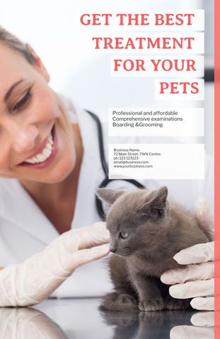 Veterinarian Examining Kitten Inspirational Pet Care Ad - Download Free Stock Templates Pikwizard.com