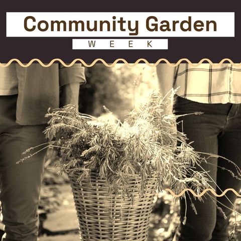 caucasian couple celebrating community garden week with potted plant - Download Free Stock Templates Pikwizard.com