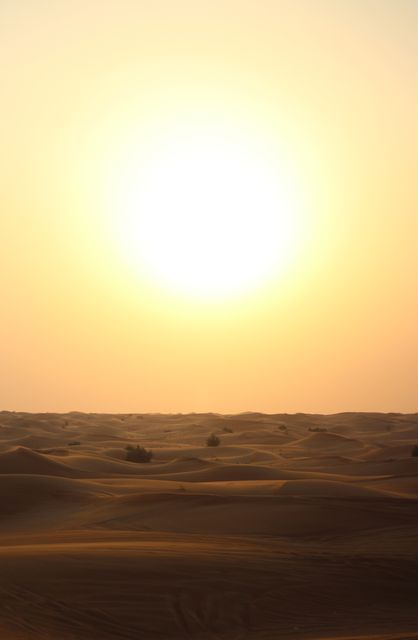 Golden Sunset Over Desert Sand Dunes - Download Free Stock Photos Pikwizard.com