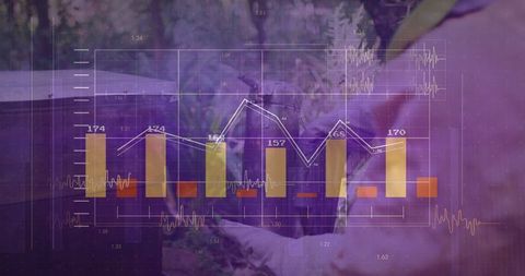 Beekeeper examining hive with superimposed data chart