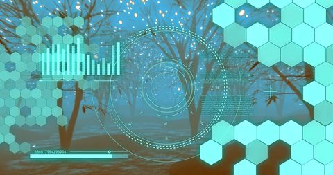 Digital Data Scan Over Magical Forest Path - Download Free Stock Images Pikwizard.com