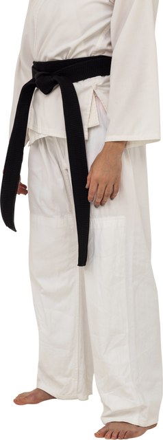 Transparent Karate Martial Artist Standing with Black Belt - Download Free Stock Videos Pikwizard.com