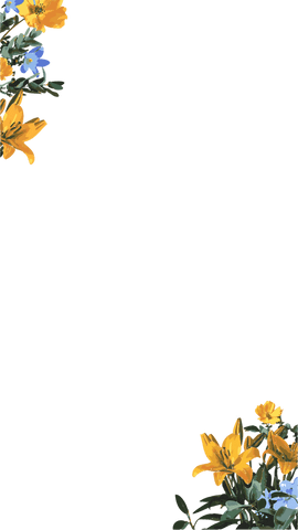 Elegant Floral Border Featuring Yellow Lilies on Transparent Background