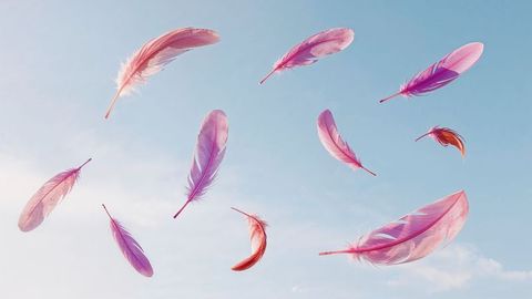 Floating Pastel Feathers Against Tranquil Blue Sky