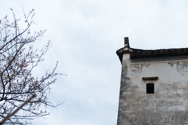 Detail of an ancient building with weathered walls and minimalist design. Leafless tree branches frame the structure on a cloudy day. Great for illustrating themes related to historical architecture, cultural heritage, and the beauty of simplicity in design.