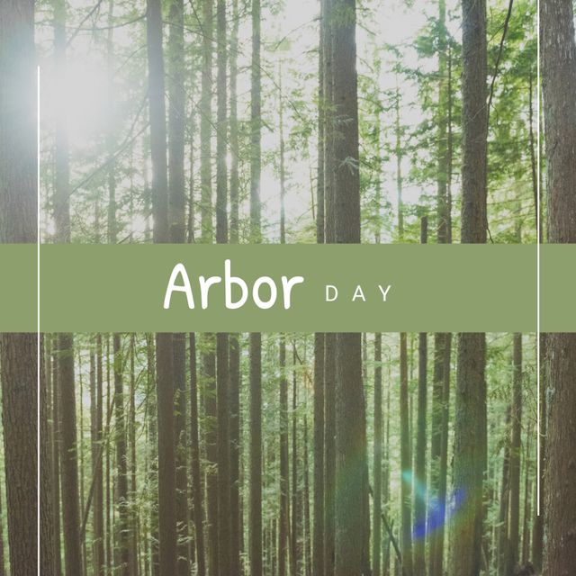 Arbor Day Celebration in Serene Sunlit Forest - Download Free Stock Templates Pikwizard.com