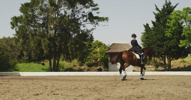 Equestrian rider engaging in dressage training during a sunny day in an outdoor arena. Ideal for use in articles about equestrian sports, training routines, horseback riding techniques, and outdoor leisure activities. Can also be used in promotional materials for competitive sports, equestrian clubs, and riding schools.