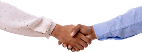 transparent business handshake on white background - Download Free Stock Videos Pikwizard.com