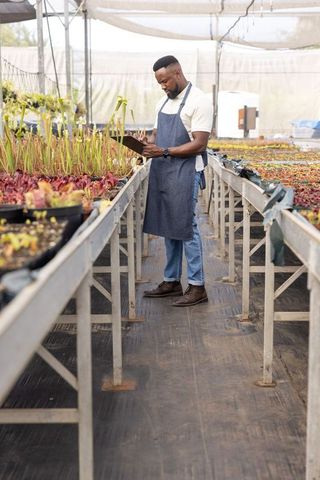 African american nursery manager inspecting seedlings and recording notes in greenhouse