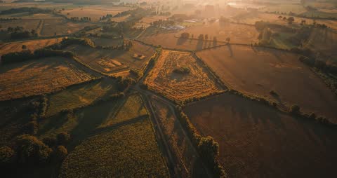 Drone Hovering Over Fields with Hedgerows at Golden Sunset