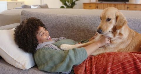 Reclining on sofa petting golden retriever, cozy home companionship and relaxation