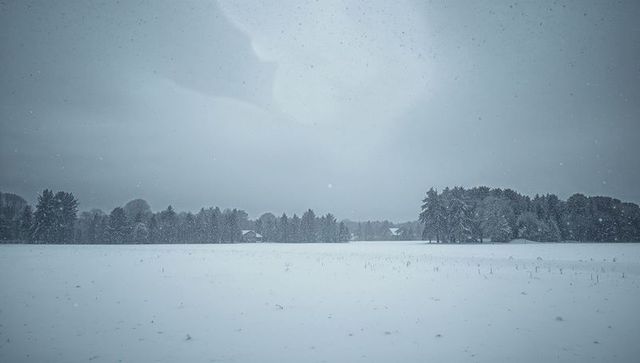 Snowfall blanketing rural farmland with tree line and two farm sheds on winter horizon